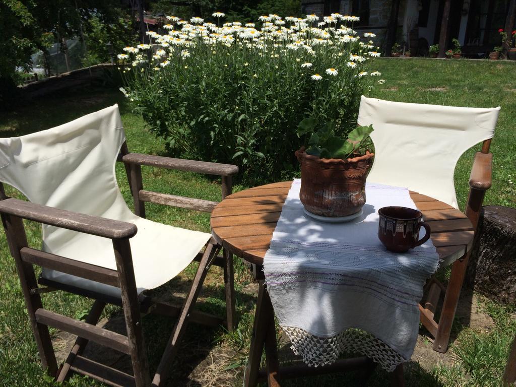 Stefanina Guesthouse Bozhentsi Extérieur photo