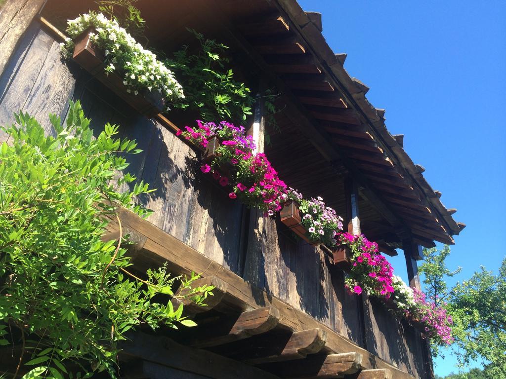 Stefanina Guesthouse Bozhentsi Extérieur photo