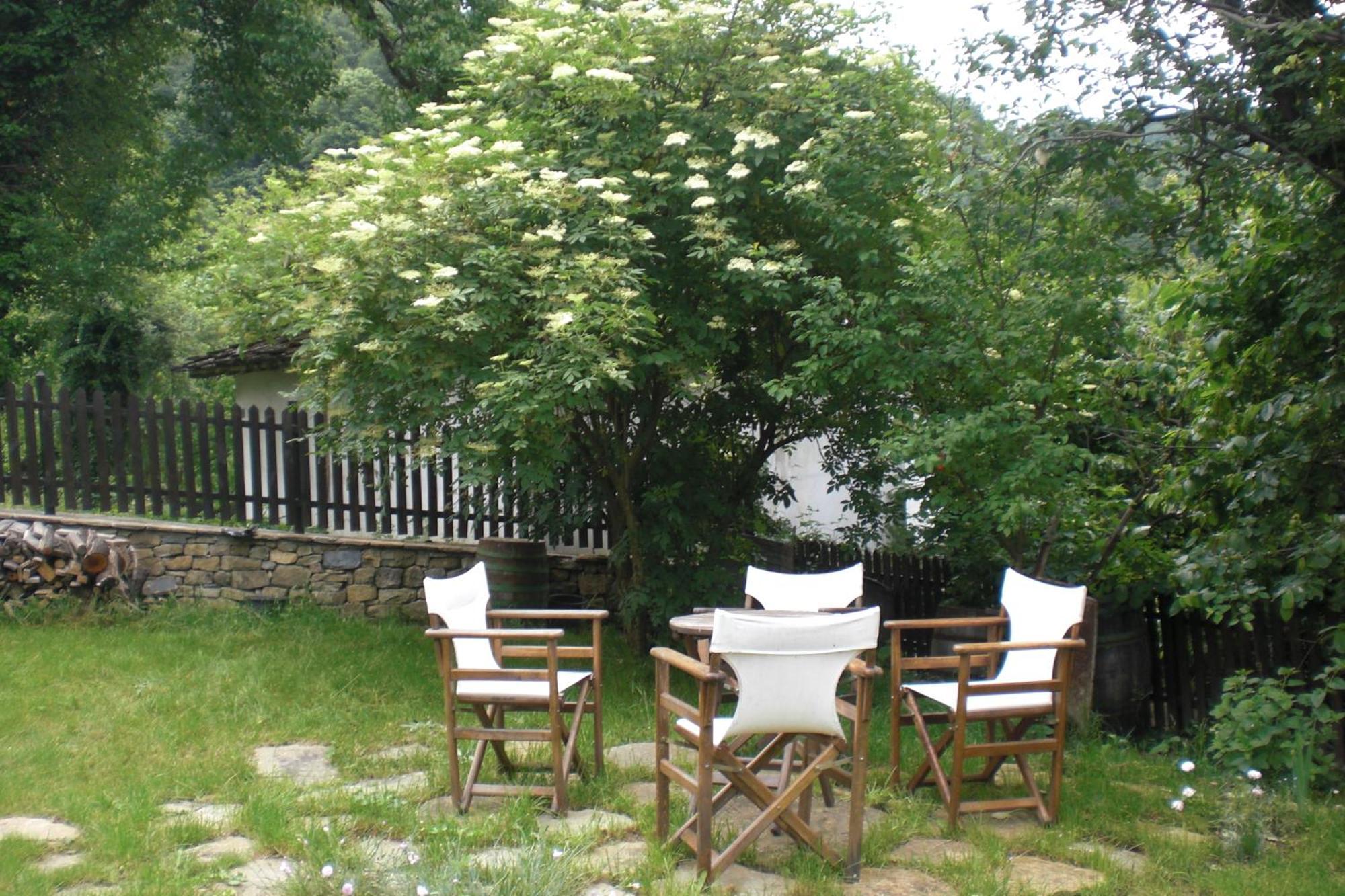 Stefanina Guesthouse Bozhentsi Extérieur photo