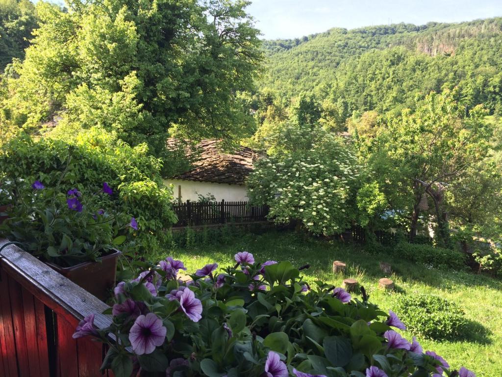 Stefanina Guesthouse Bozhentsi Extérieur photo